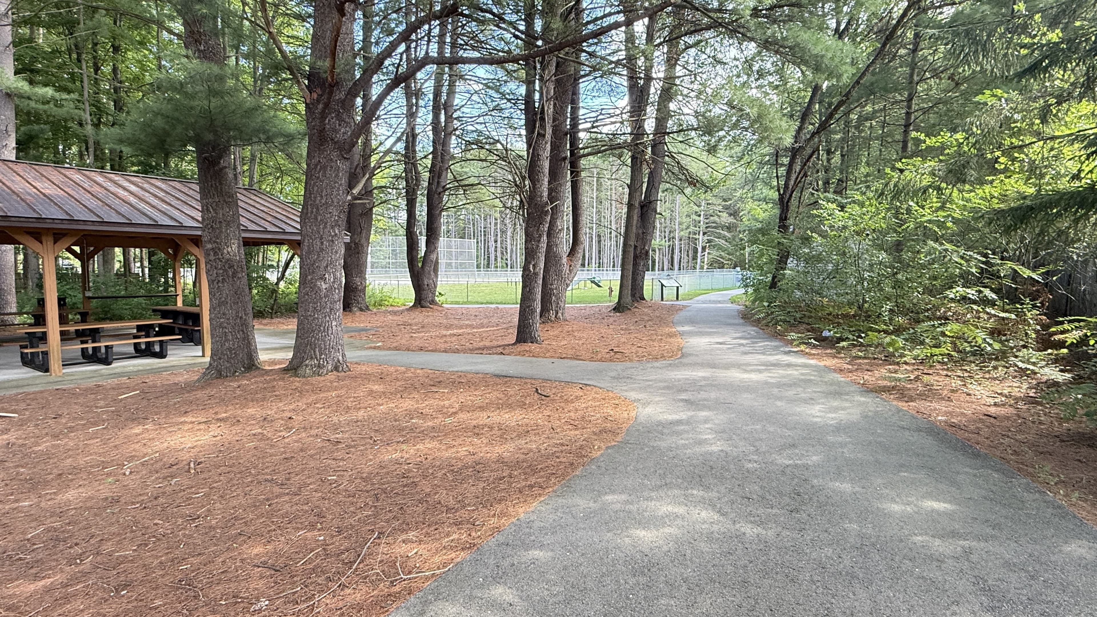 Trail