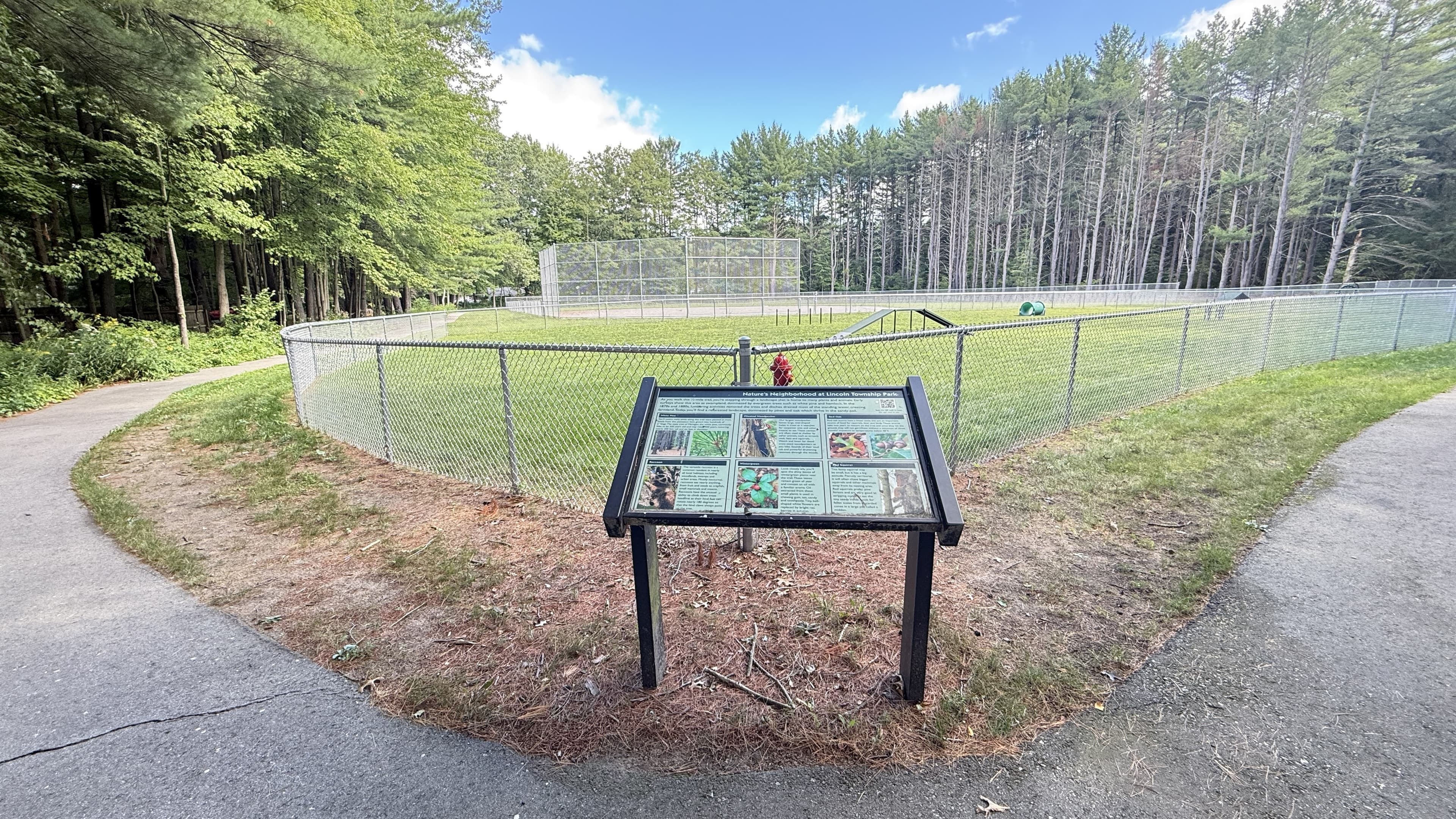 Dog Park